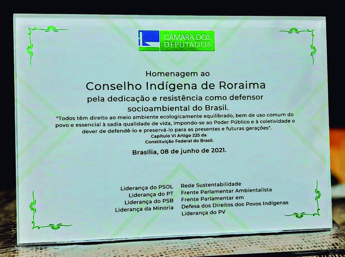Homenagem da Câmara dos Deputados ao Conselho Indígena de Roraima
