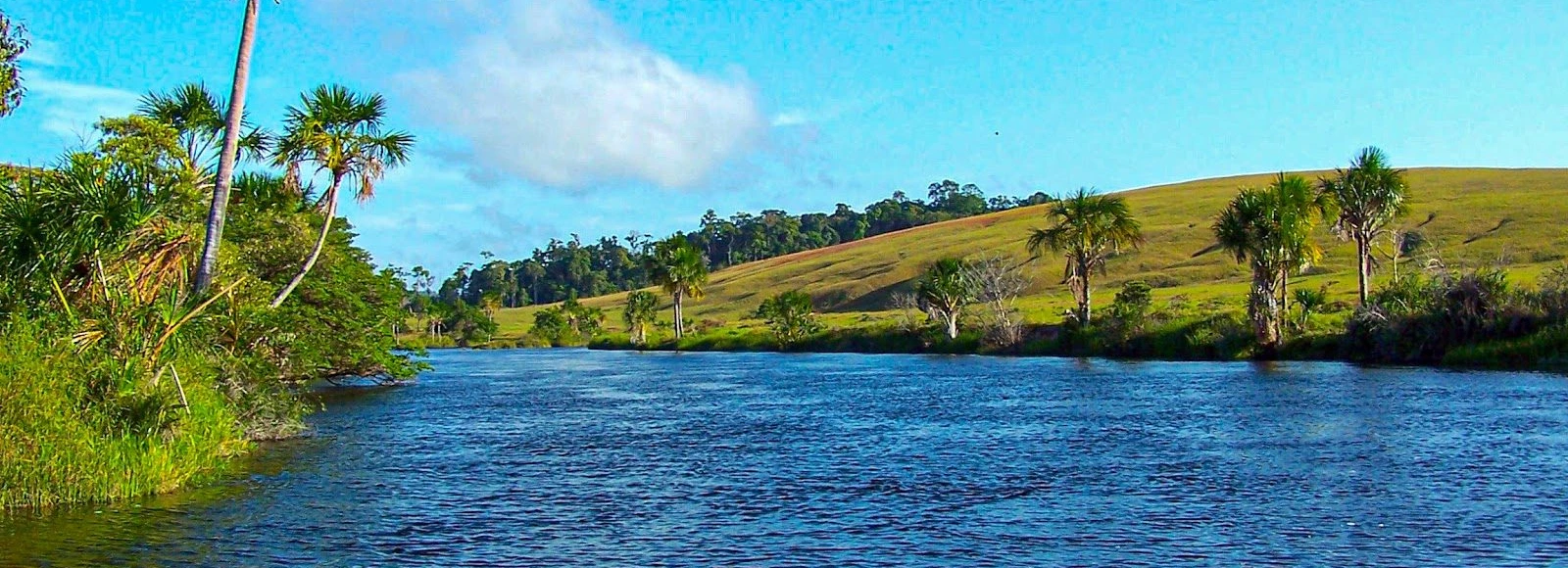 Povos indígenas: guardiões dos territórios e da vida
