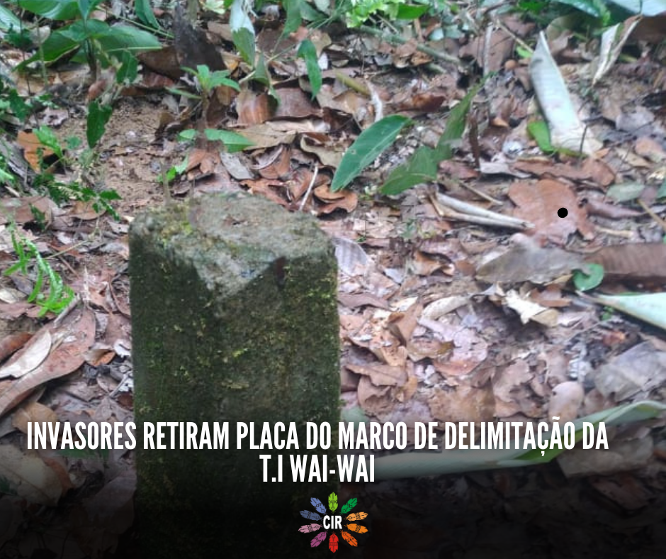 Invasores retiram placa do marco de delimitação da T.I Wai-Wai