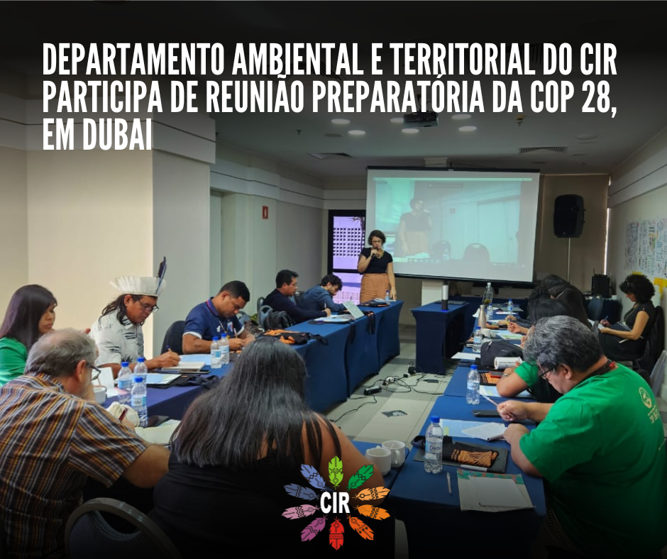 Departamento Ambiental e Territorial do CIR participa de reunião preparatória da COP 28, em Dubai