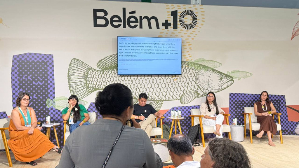 CIR NA COP 30: DEPARTAMENTO DE GESTÃO TERRITORIAL AMBIENTAL E MUDANÇAS CLIMÁTICAS, PARTICIPA DE PAINEL POVOS INDÍGENAS E INICIATIVAS DE ADAPTAÇÃO CLIMÁTICA NO BRASIL