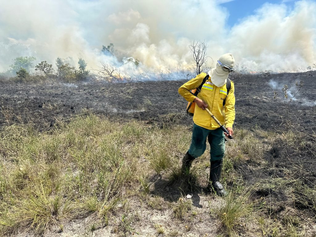 BRIGADISTAS INDÍGENAS FINALIZAM ATIVIDADE DE QUEIMA PRESCRITA EM REGIÕES DE RORAIMA