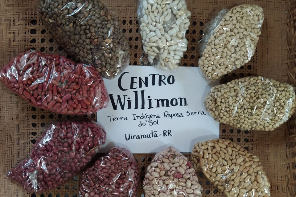 CENTRO WILLIMON DOA SEMENTES PARA FORTALECER AGRICULTURA EM COMUNIDADES INDÍGENAS