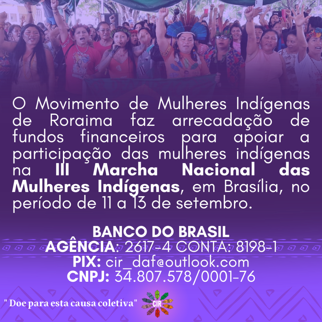 3ª Marcha Nacional das Mulheres Indígenas