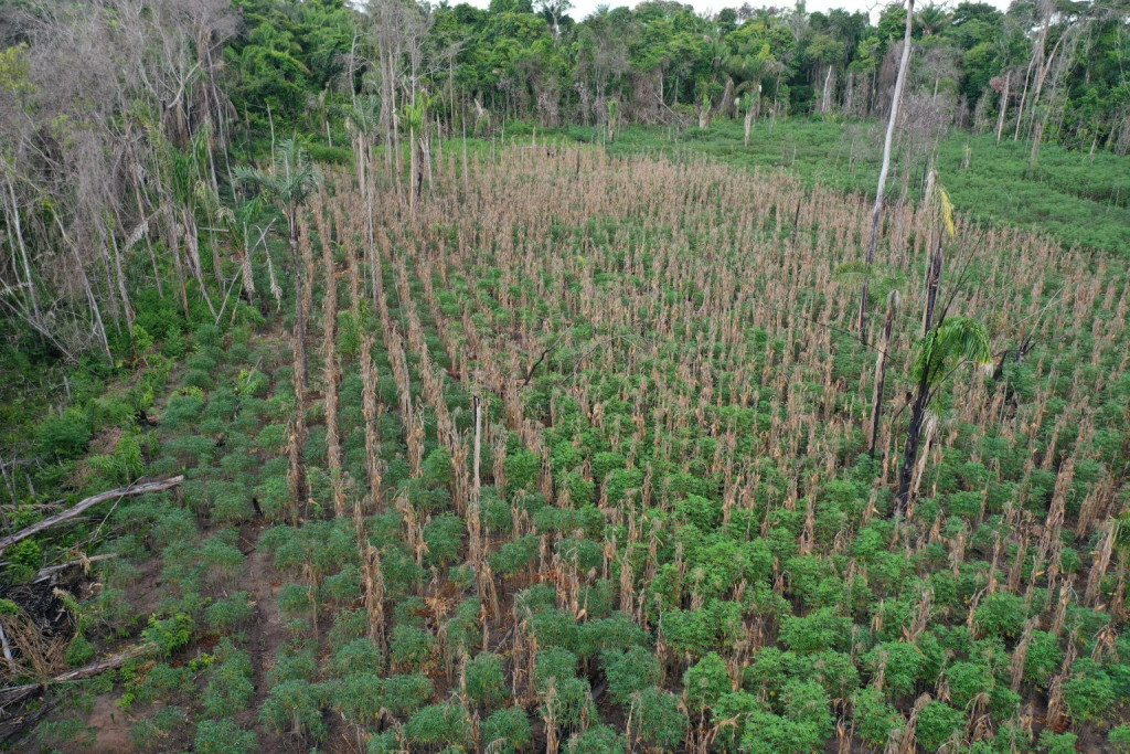 Serra da Lua é mais uma das regiões que se destaca em sua produção agrícola orgânica