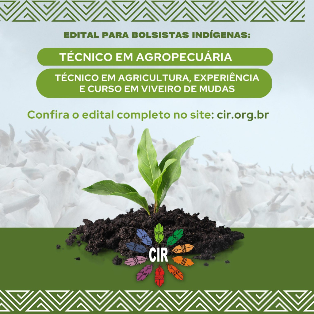 CONSELHO INDÍGENA DE RORAIMA - Edital Para Bolsistas Indígenas
