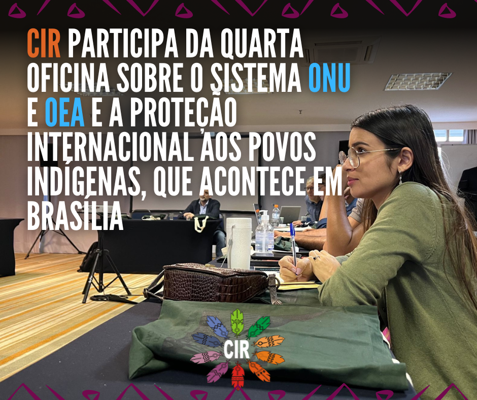CIR participa de Oficina sobre o Sistema ONU e OEA e a proteção internacional aos povos indígenas, que acontece em Brasília
