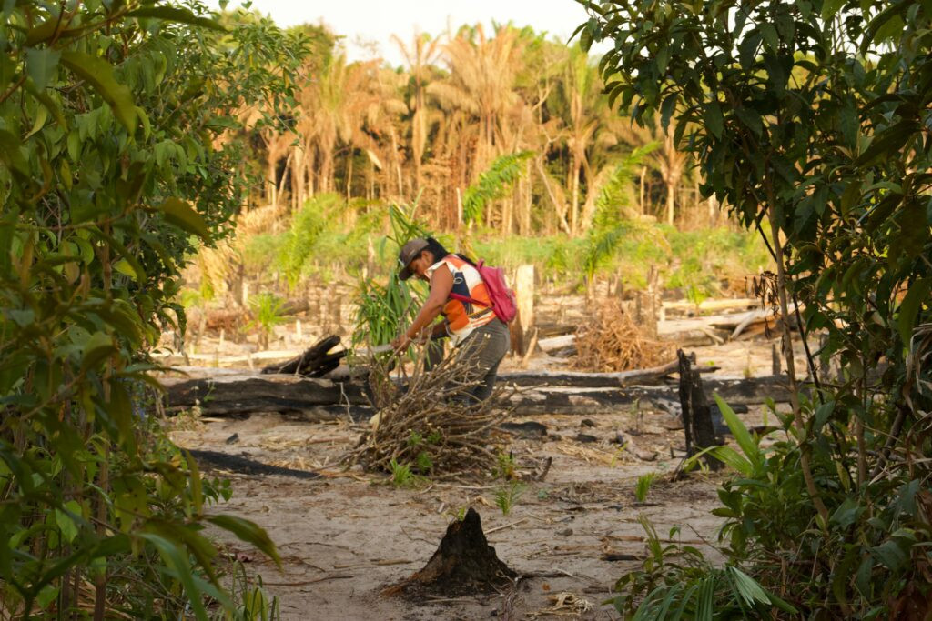 REGIÕES BAIXO COTINGO E SURUMU RECEBEM DOAÇÕES DE SEMENTES TRADICIONAIS