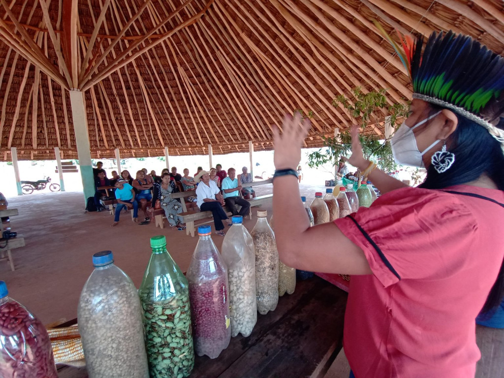 Feira incentiva troca e preservação de sementes tradicionais na TI Raposa Serra do Sol