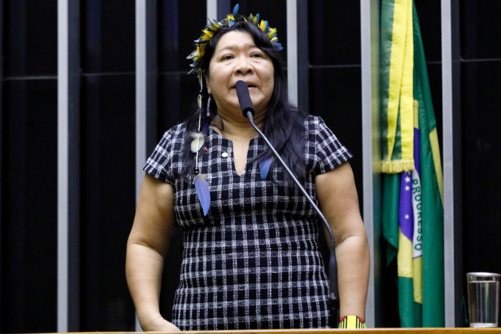MANIFESTO DE APOIO E RECONHECIMENTO PELO TRABALHO DA DEPUTADA FEDERAL JOENIA WAPICHANA NO PARLAMENTO BRASILEIRO