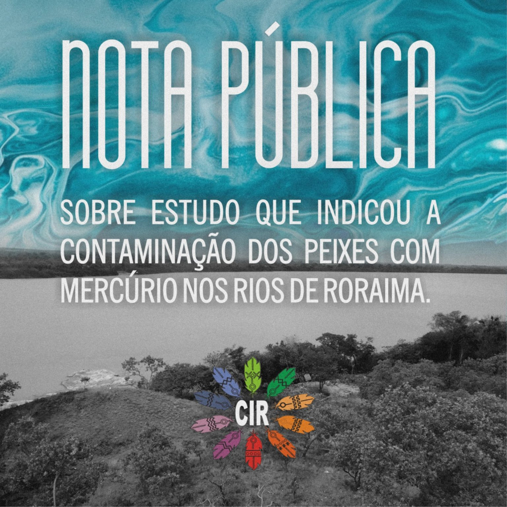Nota pública sobre estudo que indicou a contaminação dos Peixes com mercúrio nos Rios de Roraima