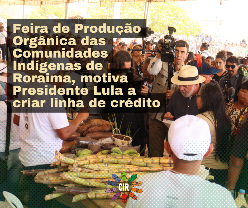 Feira de Produção Orgânica das comunidades Indígenas de Roraima, motiva Presidente Lula a criar linha de crédito
