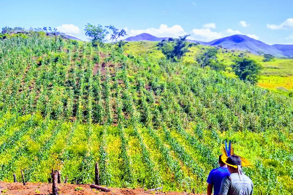 COM AGRICULTURA ORGÂNICA COMUNIDADES DO CENTRO WILLIMON FORTALECEM AUTONOMIA E  MANTÊM SUSTENTABILIDADE