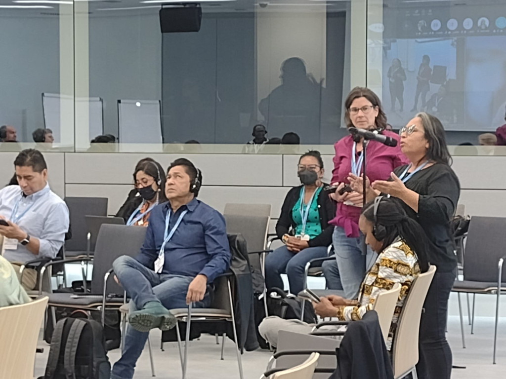 Coordenadora do DGTA do CIR participa de Conferência Interseccional sobre Clima na Alemanha