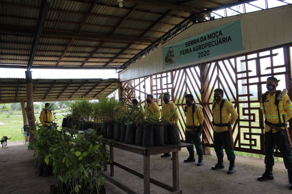 Brigadistas indígenas do projeto prevfogo da região Murupú realizaram doação de mudas para reflorestamento do meio ambiente