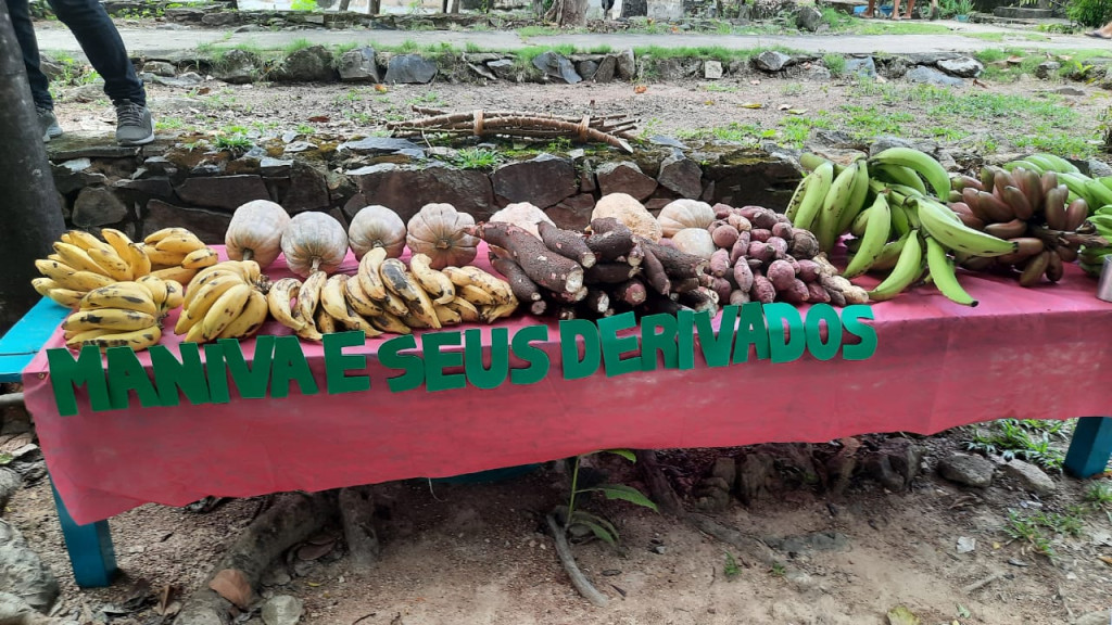 Região Surumú realiza feira do Projeto Uyeeserukon no Centro Indígena de Formação e Cultura Raposa Serra do Sol