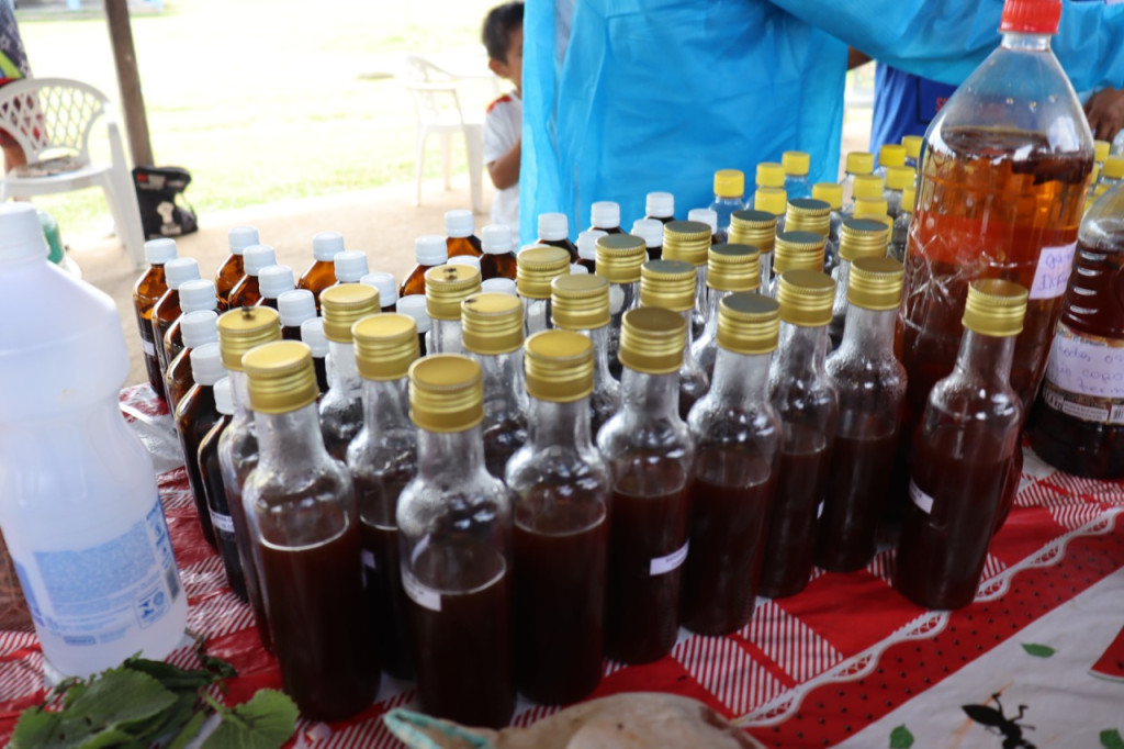 PRODUÇÃO DE MEDICINA TRADICIONAL NA REGIÃO RAPOSA, T.I RAPOSA SERRA DO SOL