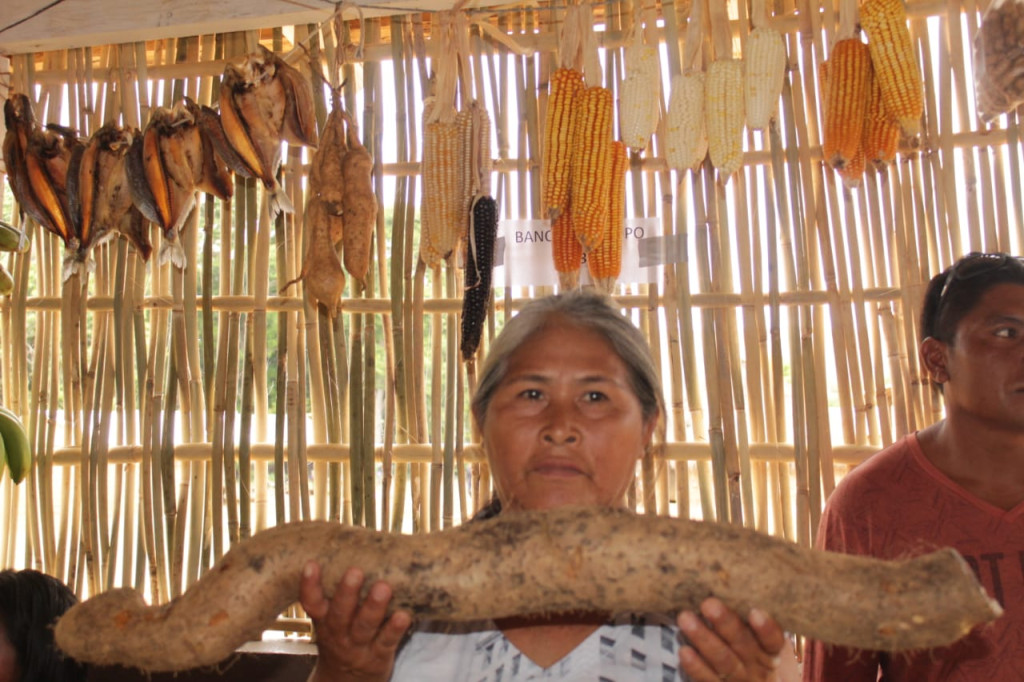 Projeto “ Nossa Terra - Nossa Mãe”: iniciativa busca preservar e valorizar sementes tradicionais da comunidade indígena Pedra Preta