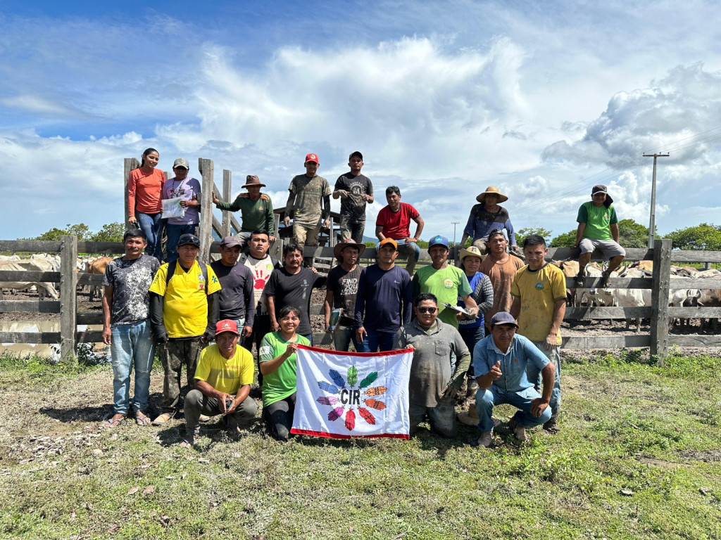SUSTENTABILIDADE DOS POVOS INDÍGENAS: CENTRO INDÍGENA DE FORMAÇÃO E CULTURA RAPOSA SERRA DO SOL FAZ REPASSE DO PROJETO DE GADO À COMUNIDADE MAKUKEM