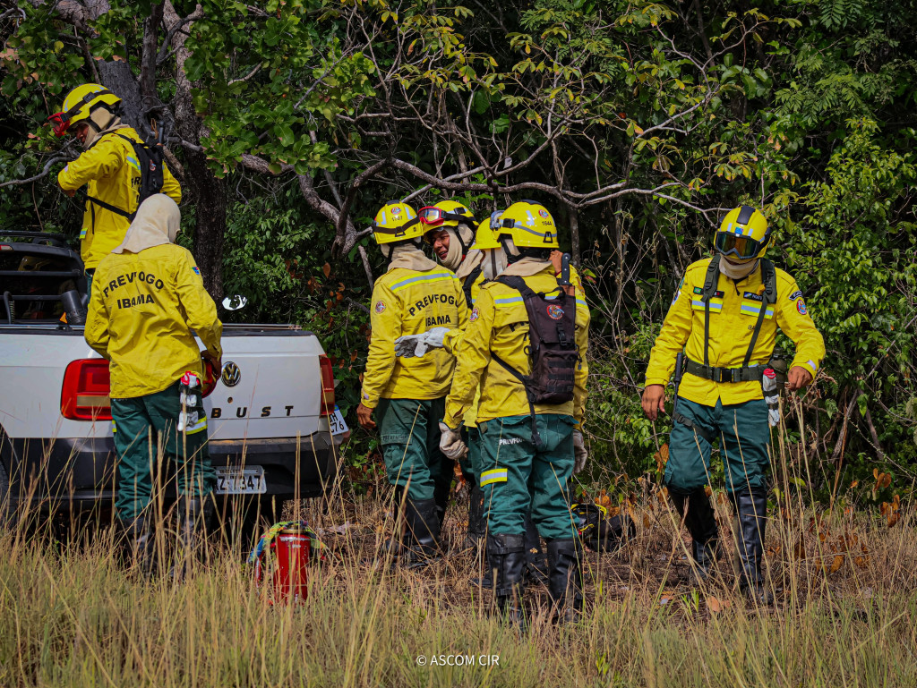 Brigadistas comunitários indígenas do CIR iniciam período de queima prescrita nas regiões de Roraima