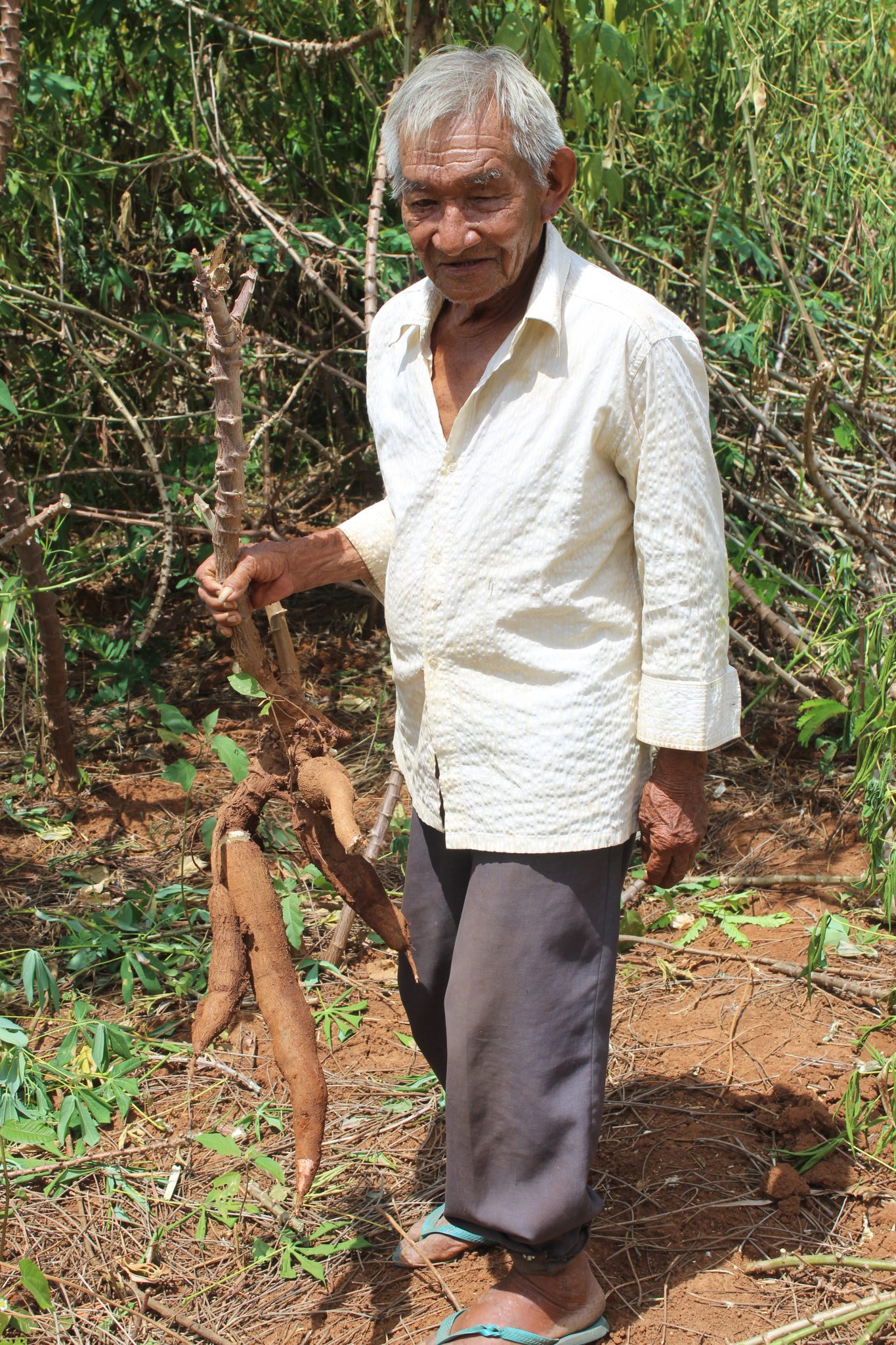 Evangelista de Souza 74 anos, Comunidade Serra da Moça.