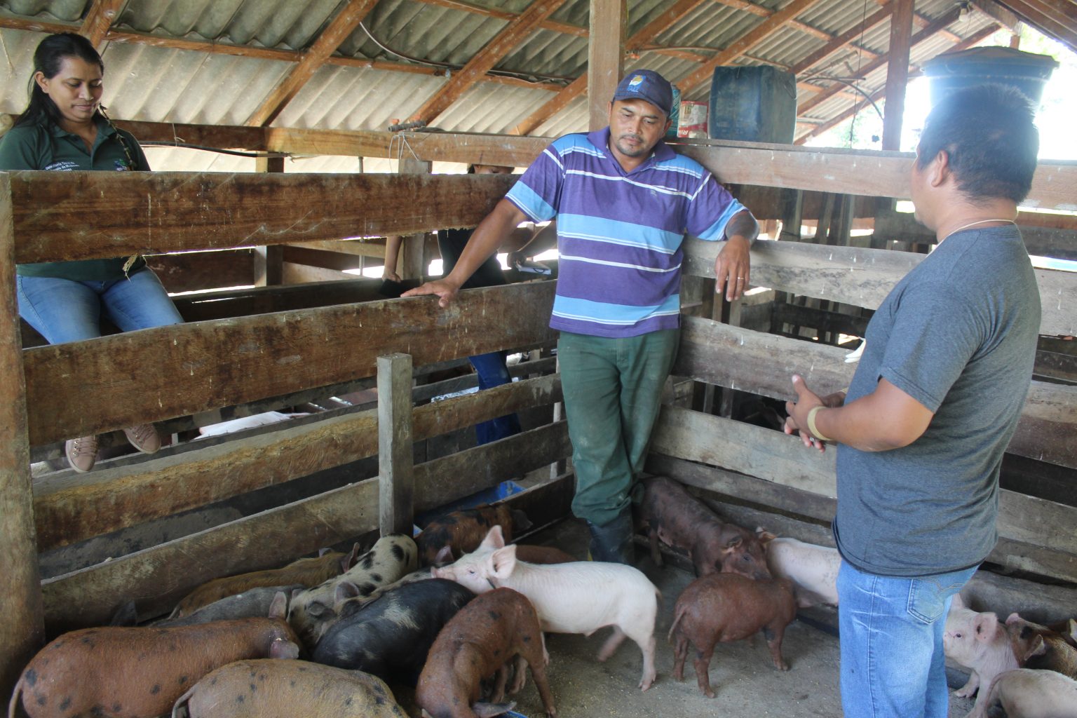 Sr. Marcilio criador de suínos, Coordenador do CIR Enock Taurepang e coordenadora Maria Betânia