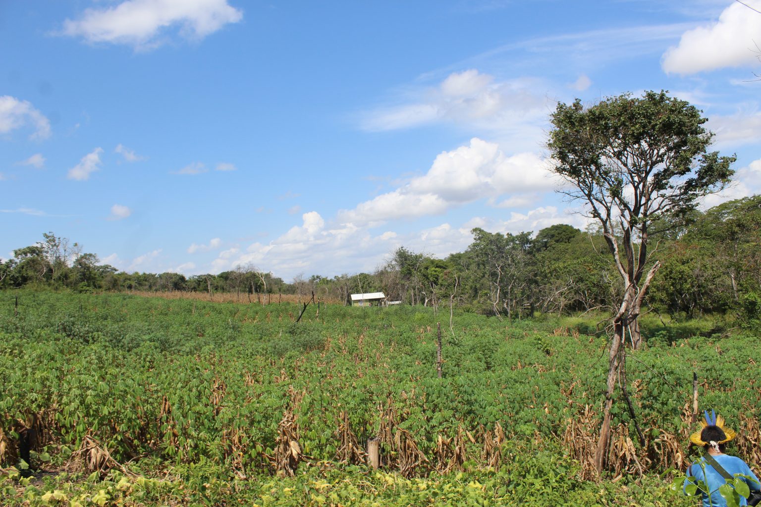 Área de produção Comunidade Anzol