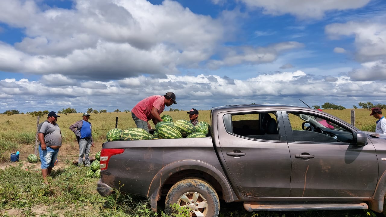 Produtores carregando parte da colheita,