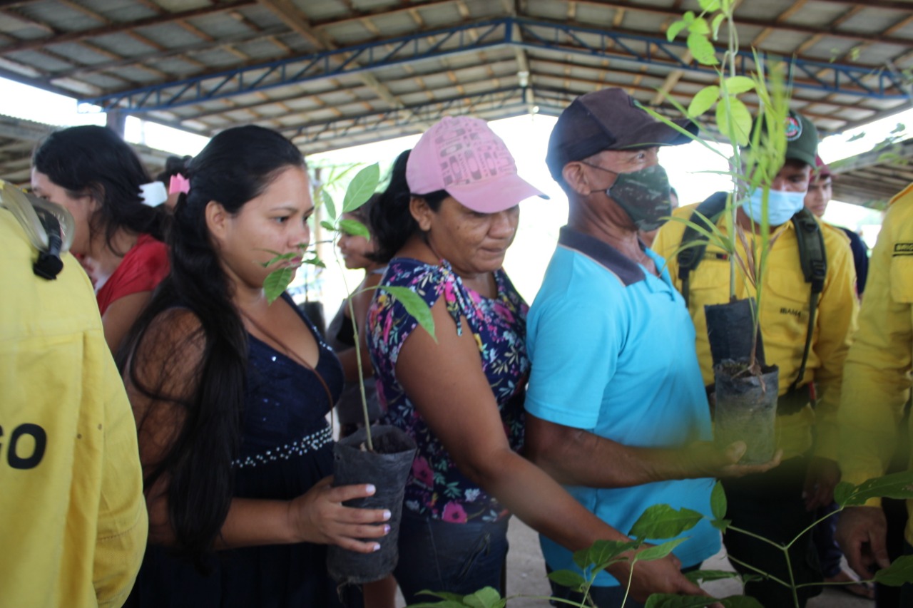 As comunidades recebem as mudas para plantarem em áreas degradadas/Foto: Eriki Aleixo Wapichana.