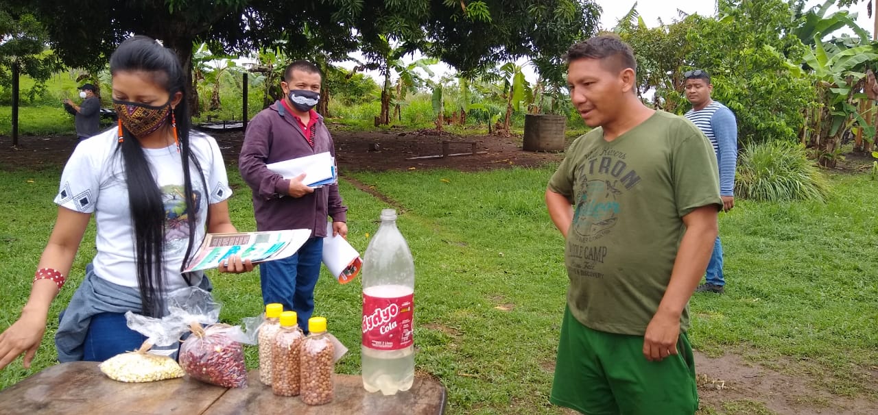 A gestora territorial Kelliane Wapichana explica sobre as sementes.